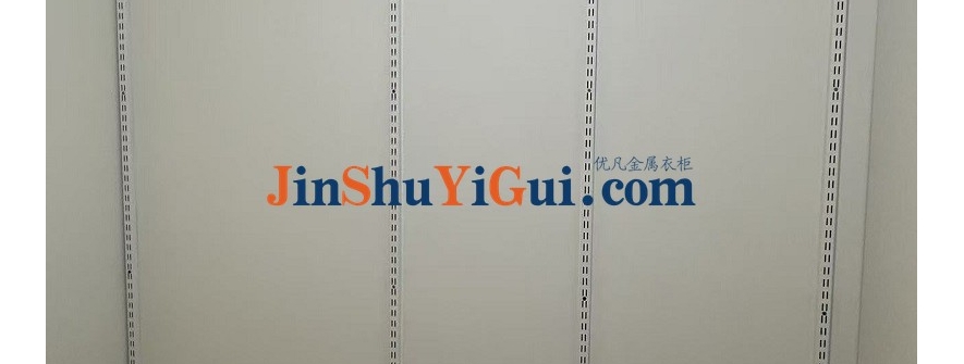 一面墙，就是一个衣柜：纯挂墙式低碳钢金属衣柜完全指南