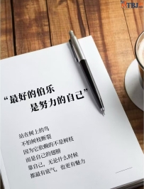 最好的伯乐是努力的自己